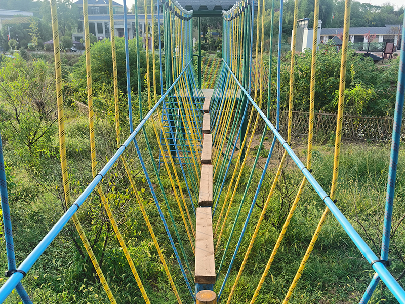 叢林探險